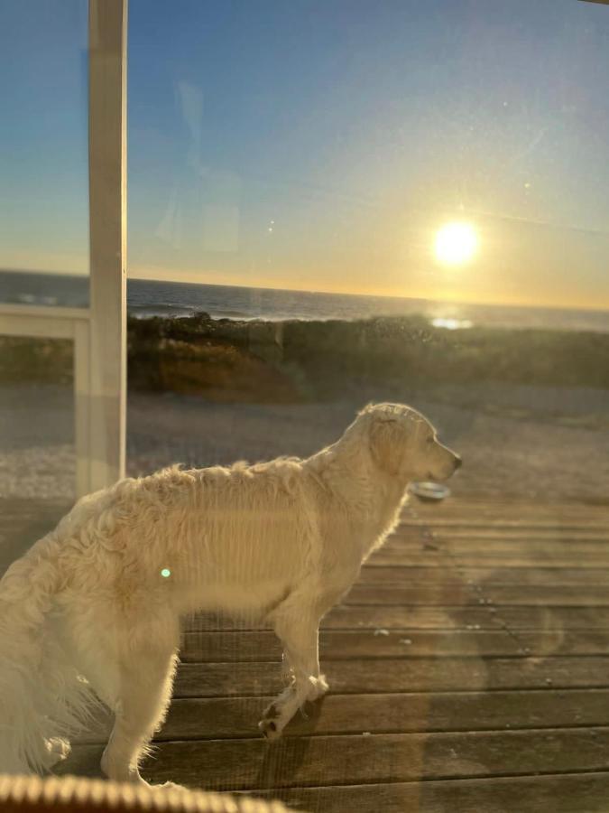 Pearl Bay Beach Home Yzerfontein Extérieur photo