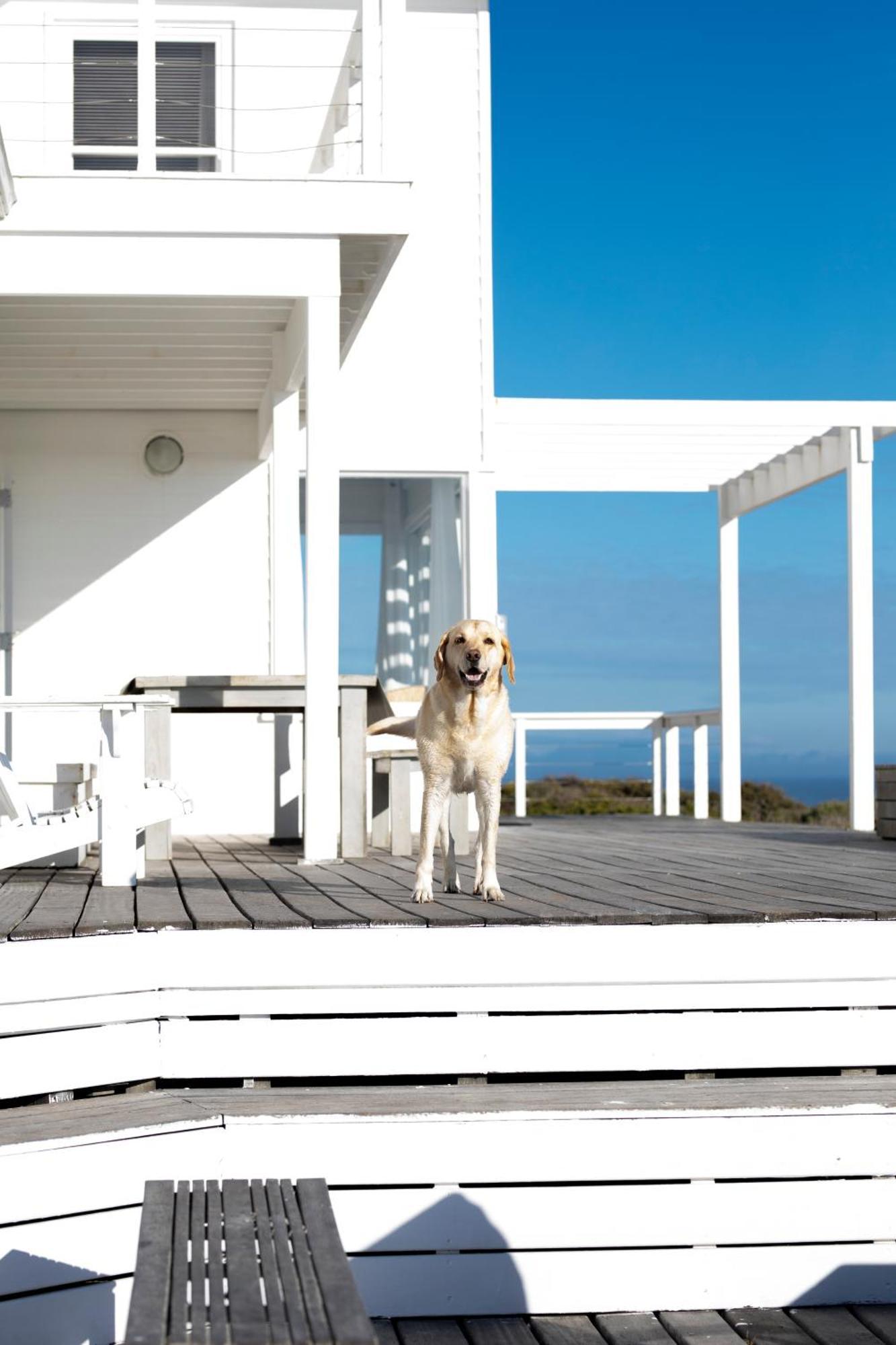 Pearl Bay Beach Home Yzerfontein Extérieur photo