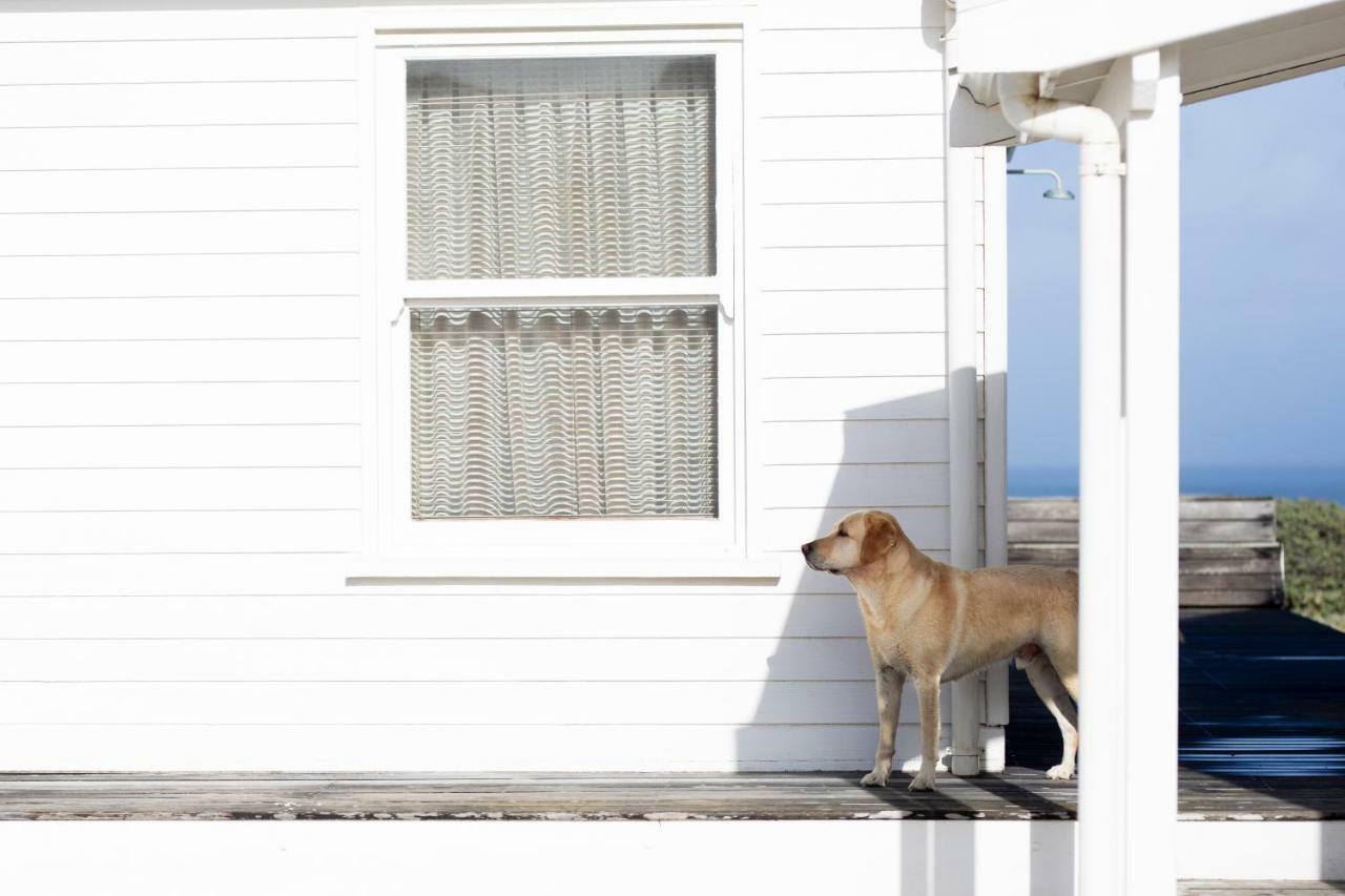 Pearl Bay Beach Home Yzerfontein Extérieur photo